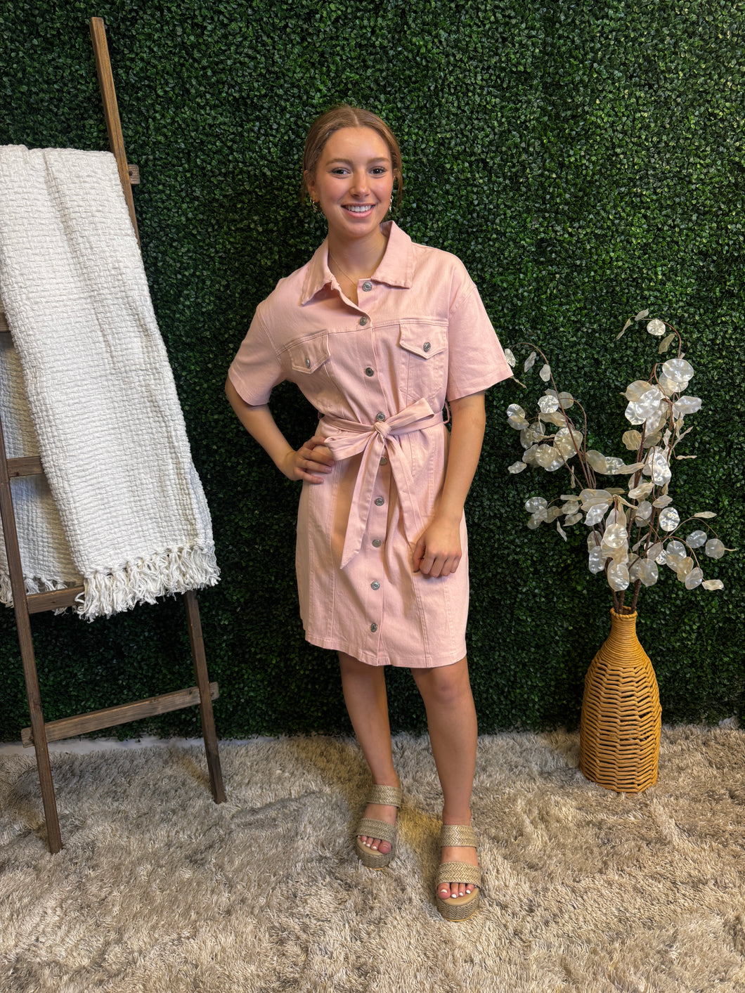 Blushed Belle Dress