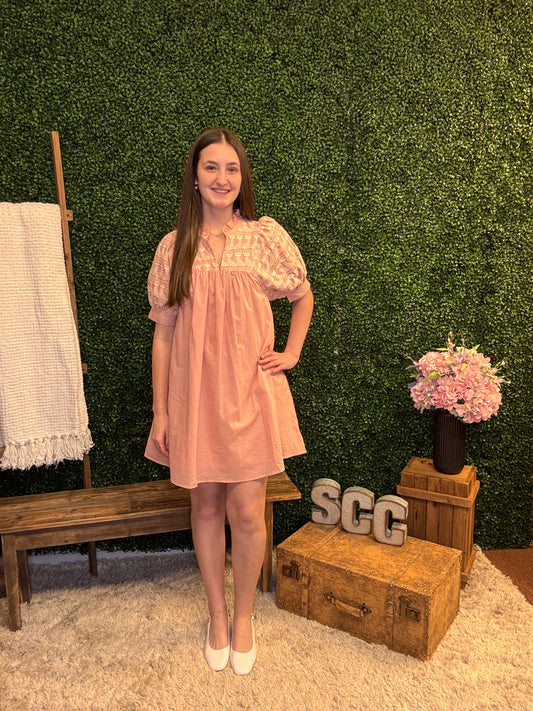 Blush Meadow Embroidered Dress