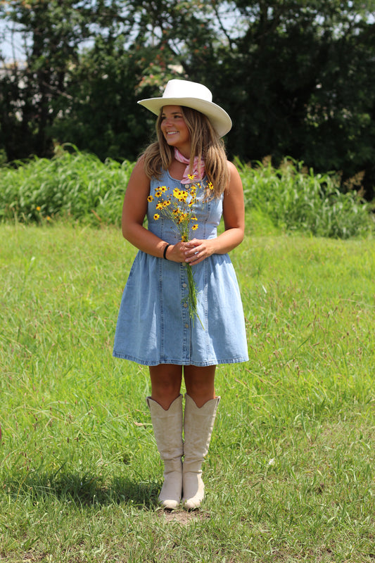 The Delta Denim Dress