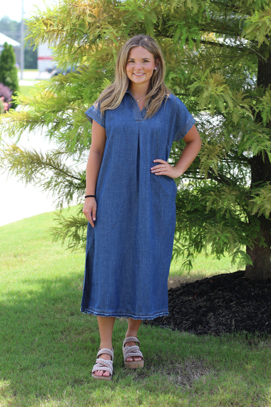 Blue Ridge Denim Dress