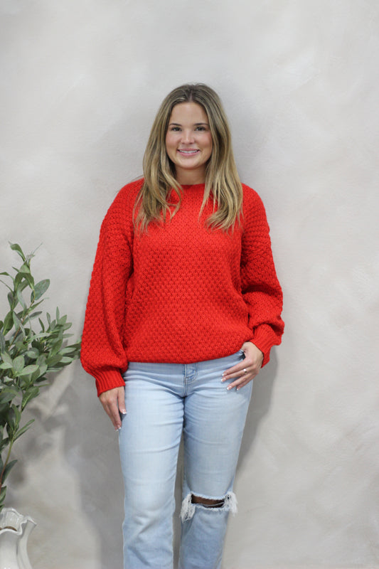 Cozy Cardinal Sweater
