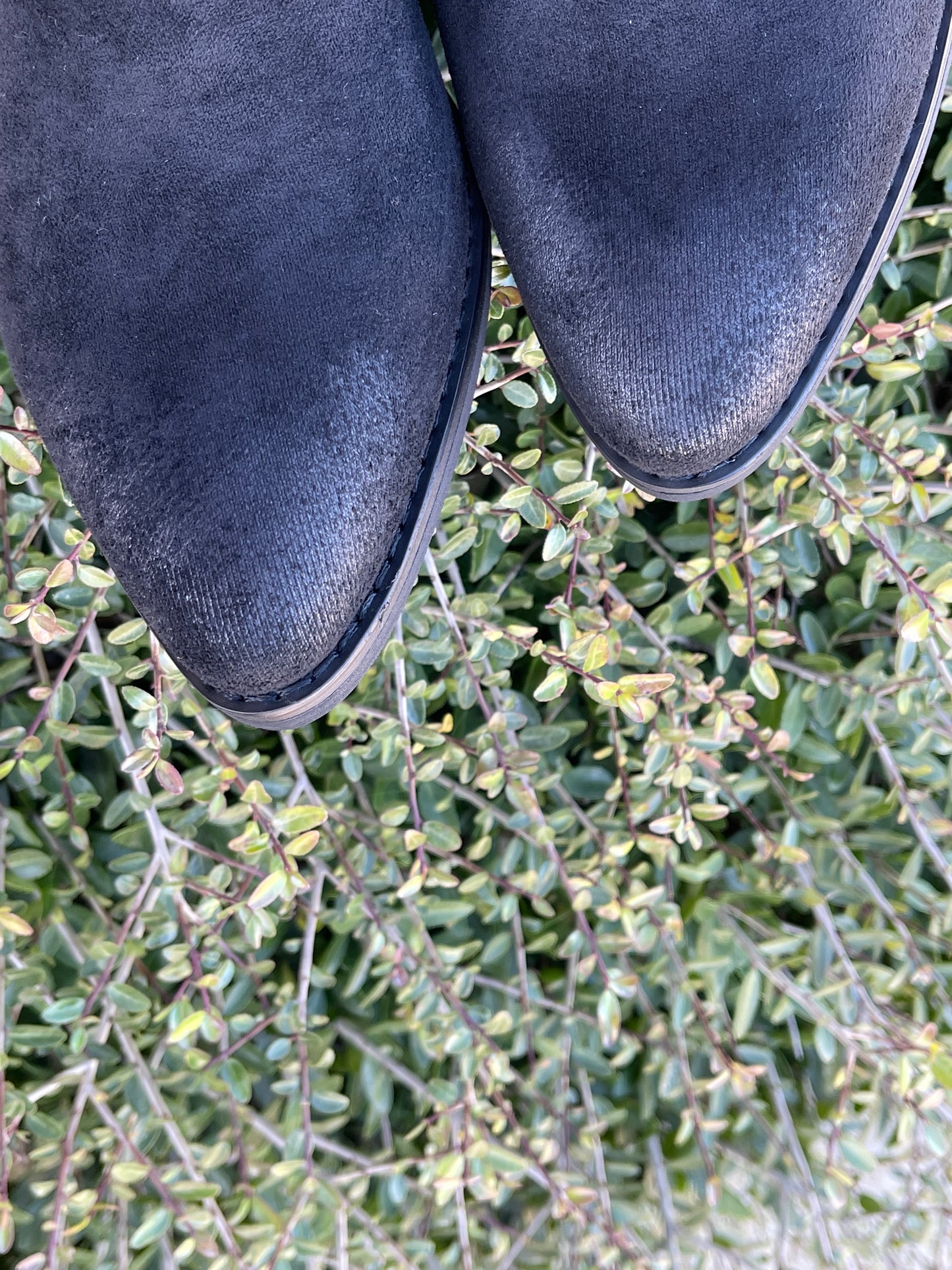 Westin Bootie
